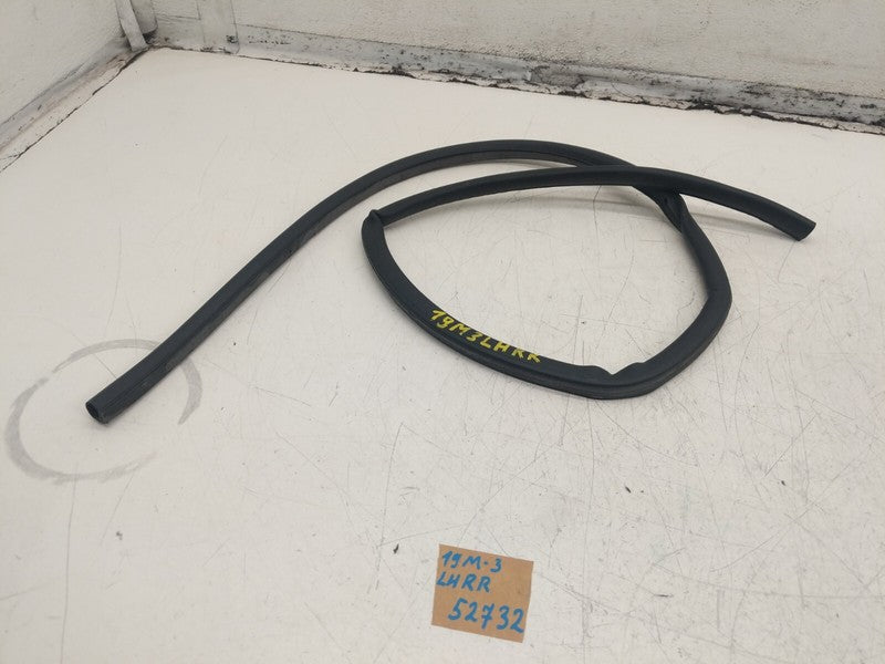 2017-2023 Tesla Model 3 Rear Left Door Weatherstrip Seal LH