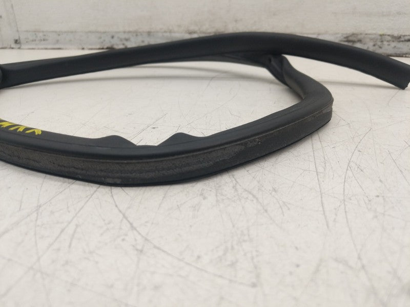 2017-2023 Tesla Model 3 Rear Left Door Weatherstrip Seal LH