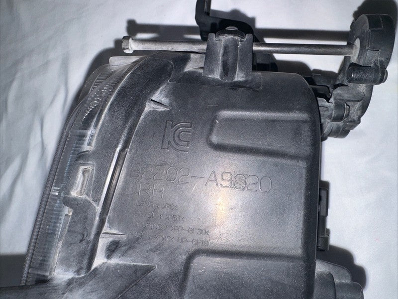 2015-2018 Kia Sedona Right Passenger Fog Light Halogen OEM