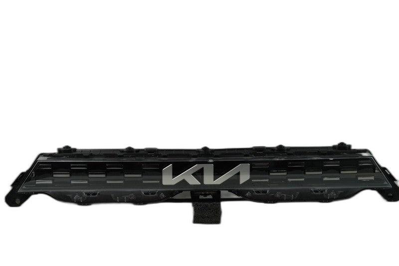 2022-2023 KIA SOUL OEM Center Grille Lamp W1