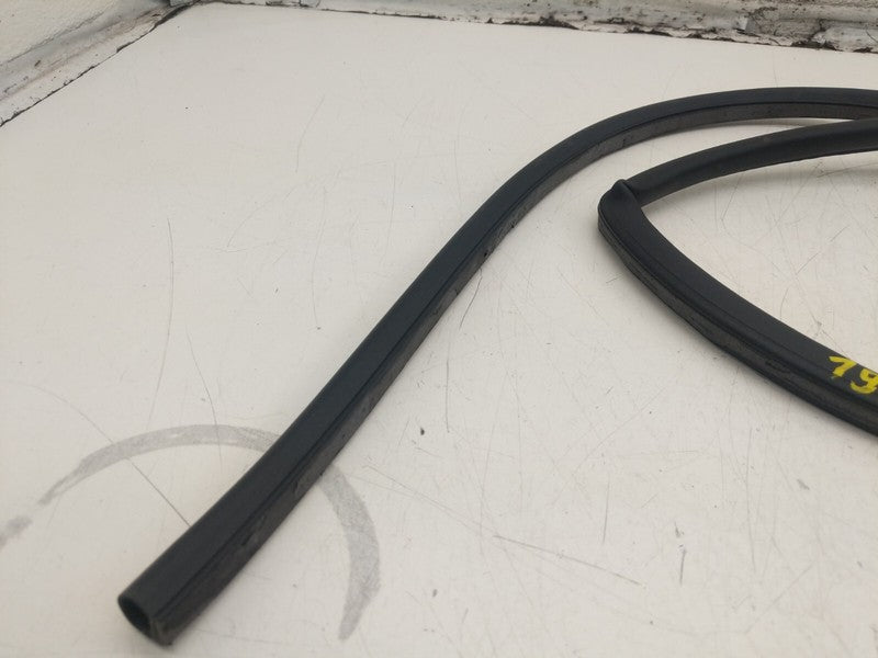 2017-2023 Tesla Model 3 Rear Left Door Weatherstrip Seal LH
