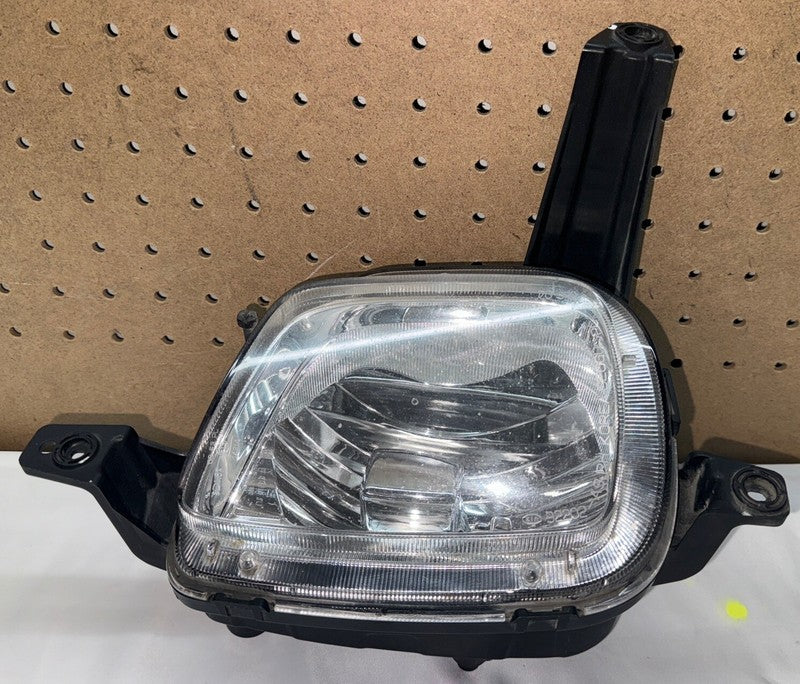 2015-2018 Kia Sedona Right Passenger Fog Light Halogen OEM