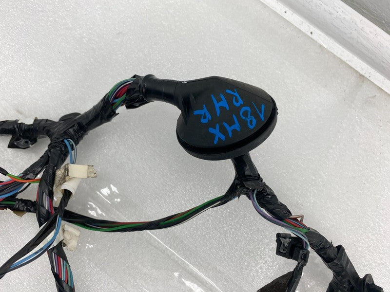 2016-20 Tesla Model X Rear Right Door Wiring Harness Cable Loom 203244
