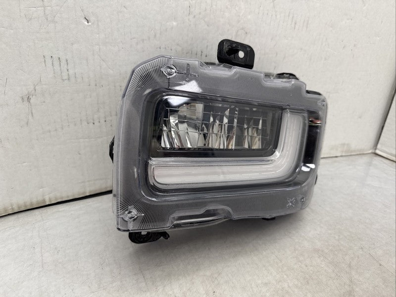 2024-2026 Ford F150 Platinum Left Driver Fog Light LED OEM RL3415A255A