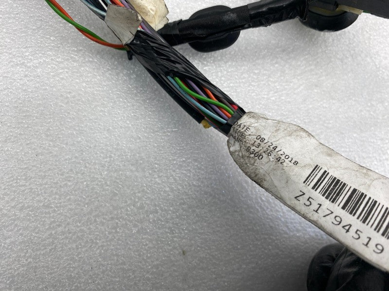 2016-20 Tesla Model X Rear Right Door Wiring Harness Cable Loom 203244
